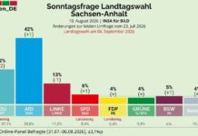 Wahlberechnung Sachsen-Anhalt – sollte man das BSW unterstützen?